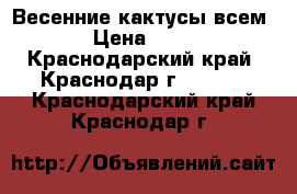 Весенние кактусы всем! › Цена ­ 100 - Краснодарский край, Краснодар г.  »    . Краснодарский край,Краснодар г.